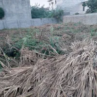 زمین به متراژ ۴۸۶متر فریدونکنار بهشتی