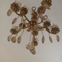 لوستر برنز سنگین وزن