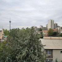 استخدام خدمتکار خانم