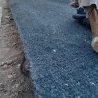 سیاه چادر