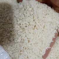 برنج دمسیا کلات لاینو|خوردنی و آشامیدنی|مشهد, توس (بلوار توس)|دیوار