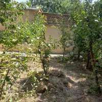 ویلا و باغ شهمیرزاد|فروش خانه و ویلا|شهمیرزاد, |دیوار