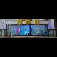آکواریوم۴تیکه باتمام لوازم تزئینی