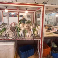 بساط ماهی ومیگو