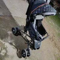 کالسکه سالم|کالسکه و لوازم جانبی|رشت, لاکان شهر|دیوار