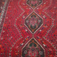 دو عدد فرش دستباف ۶ متری|فرش|شیراز, دانشگاه شیراز|دیوار