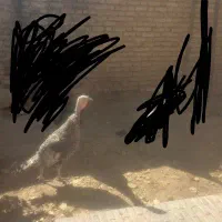 بوقلمون ماده