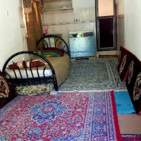 سوئت-جنگلی