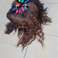 خرید مو طبیعی بدون واسطه|خدمات آرایشگری و زیبایی|رشت, بوسار|دیوار