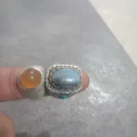 دوعددانگشتر شجروحقیق