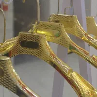 چوبکار طلایی خارجی