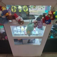 ویترین و پاچال ابعادیک