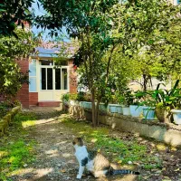 ویلا-خونه-باغ-اجاره-روزانه