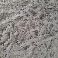 کود حیوانی در فیروزآباد