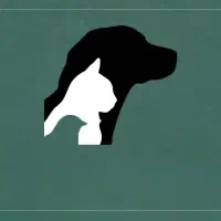 استخدام نیروی خانم در تولیدی پوشاک پت