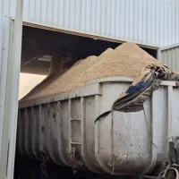 خاک اره صادراتی جهت گاوداری ومرغداری وقارچ