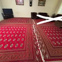 فرش ماشینی طرح ترکمن|فرش|گرگان, |دیوار