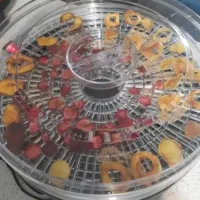 فروش میوه خشکن|سایر لوازم برقی|نقده, |دیوار