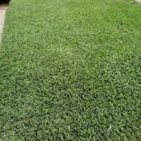 چمن مصنوعی ارزان|گل مصنوعی|یزد, |دیوار