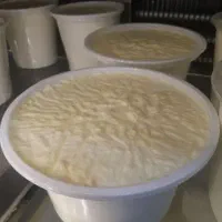 تولیید کننده پخش کننده لبنیات سنتی دوغ ماست چکیده