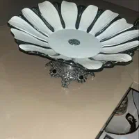 میوه خوری
