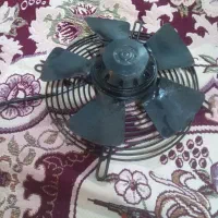 فن پنکه