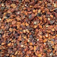 خریدار ضایعات میوه به ( هیوا) وبه دانه|خدمات پیشه و مهارت|اردبیل, |دیوار