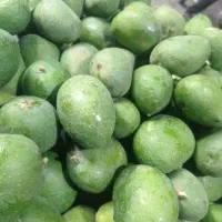 انبه میناب سیب محلی