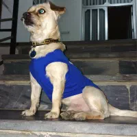 واگذاری ب شخص مناسب