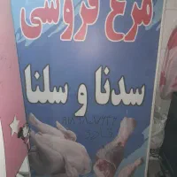 تابلوی مرغ فروشی