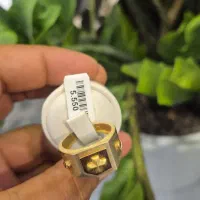 گناوه