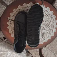 پوتین طبی اصل