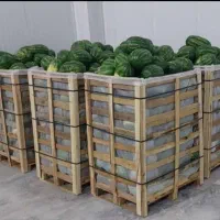 فروش باکس کارتنی و چوبی خریدچوب تخته پالت تراش|خدمات باغبانی و درختکاری|شیراز, شهرک صنعتی شیراز|دیوار