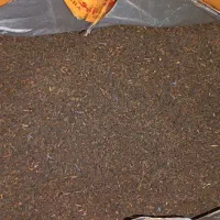 چای ابو عربە|خوردنی و آشامیدنی|بانه, |دیوار