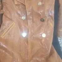 پالتو در حدنو