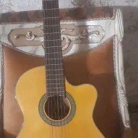 گیتار حرفه ای