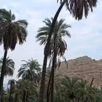 ثبت نام اسنپ رایگان
