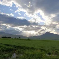 زمین-کشاورزی