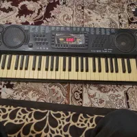 ارگ آموزشی|پیانو، کیبورد، آکاردئون|شهرکرد, |دیوار