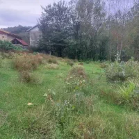 زمین مسکونی ۵۰۰ متری فروش شرایطی