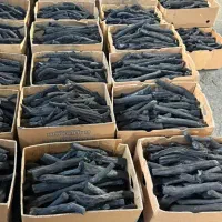 ذغال طاق تاق درجه 1 قلم و سفید