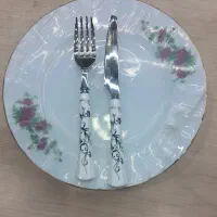 خورشت خوری و میوه خوری (چینی زرین)|ظروف سرو و پذیرایی|بهار, |دیوار