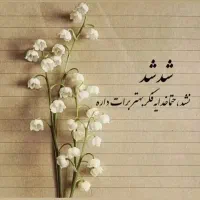 وکالت کاری در تمامی امور(تجار،کسبه،کارمندان)