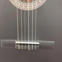 گیتار کلاسیک پارسی|گیتار، بیس، امپلیفایر|آبادان, |دیوار