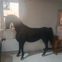 مجسمه دکوری