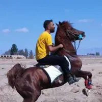 سیلمی سهیل، زاده تاراج