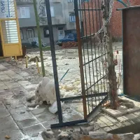 میز میوه فروشی