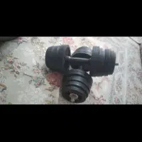 دمبل