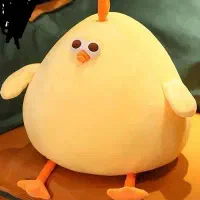 جوجه