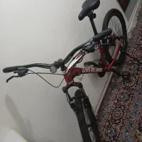 دوچرخه ویولورد